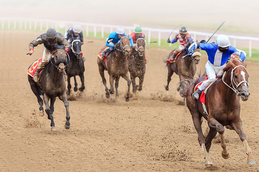 産駒全体の回収率が高い競馬愛好家孝行な血統とは？