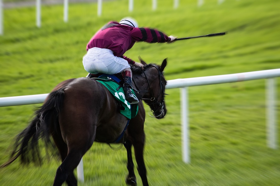 競馬では鞭の使用可能回数が定められている