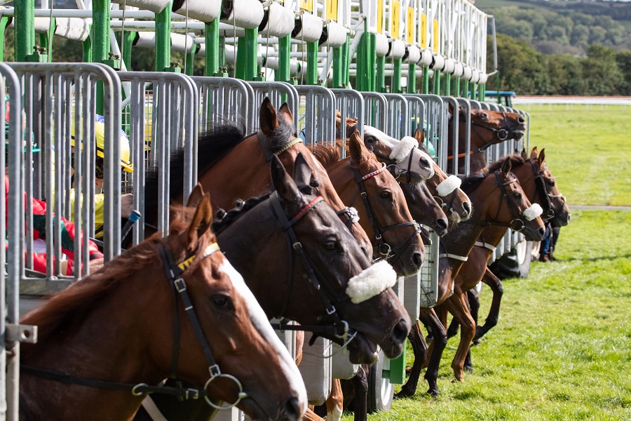 競馬で勝ちやすい枠はコレ！脚質も加味して枠順の有利不利を解説