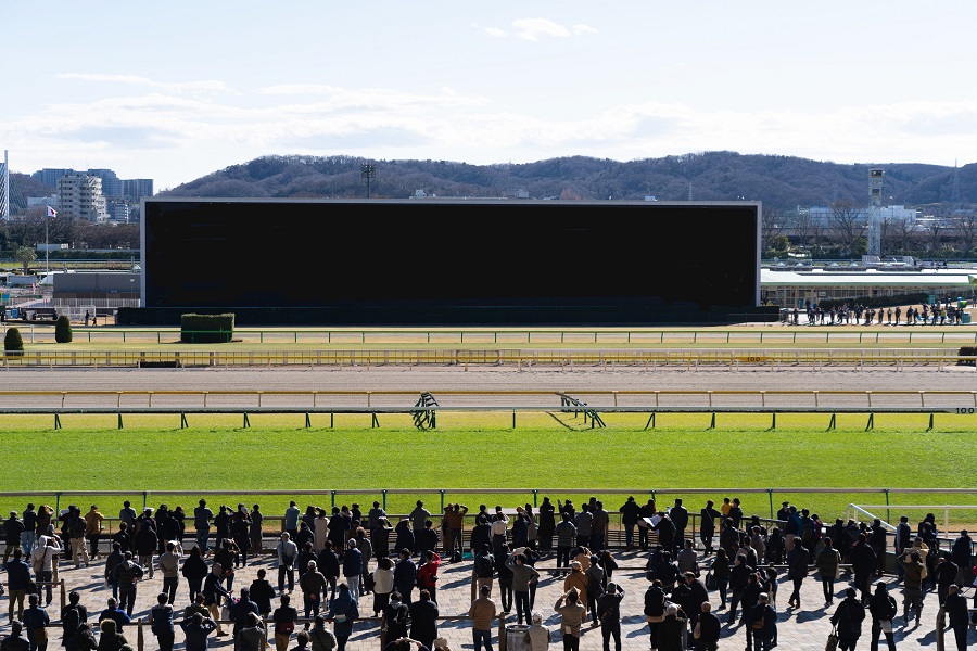 競馬には「中央競馬」と「地方競馬」がある