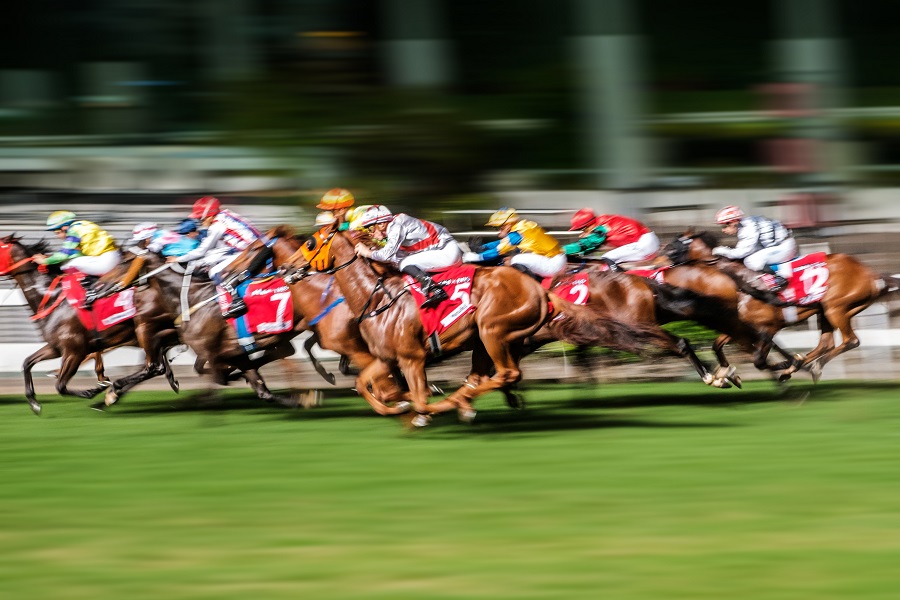 有馬記念予想のポイント！レースの特徴と役立つ過去データを紹介