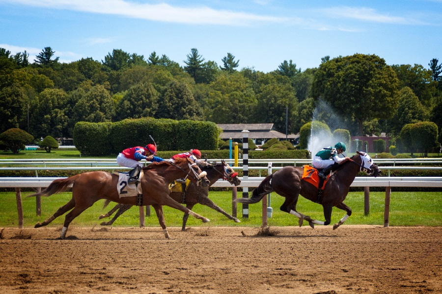 競馬のダートで強い馬を産む最強血統は？血統毎の賞金ランキングも紹介