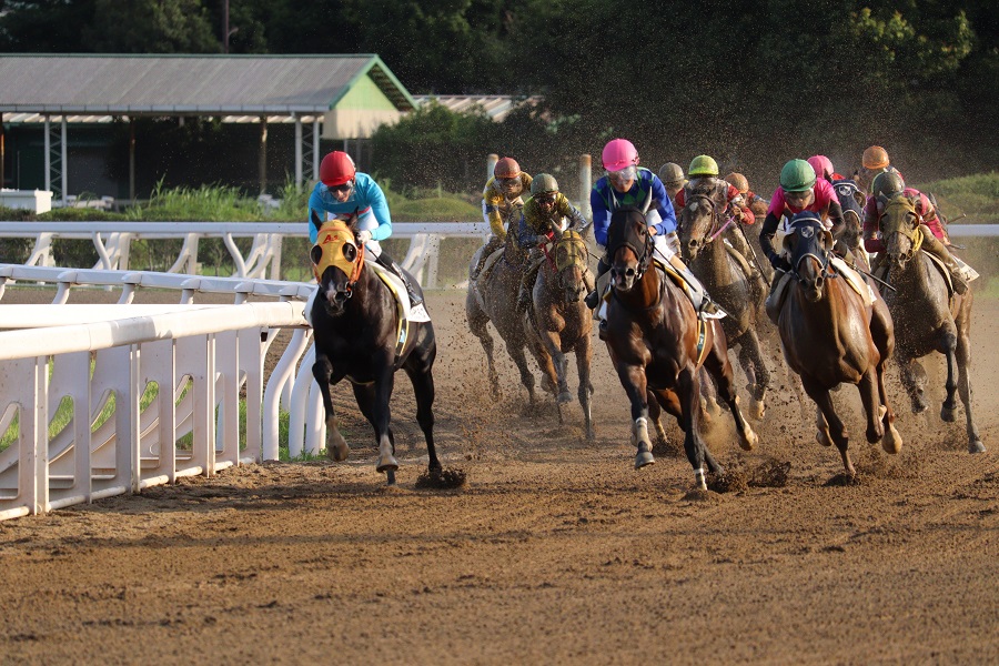 買い方のコツを知る前に地方競馬の特徴を知る