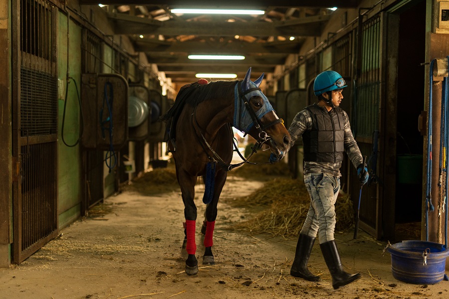 夏競馬は騎手や厩舎も大きく変わる