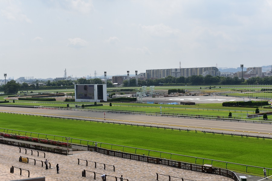 東京競馬場での楽しみ方