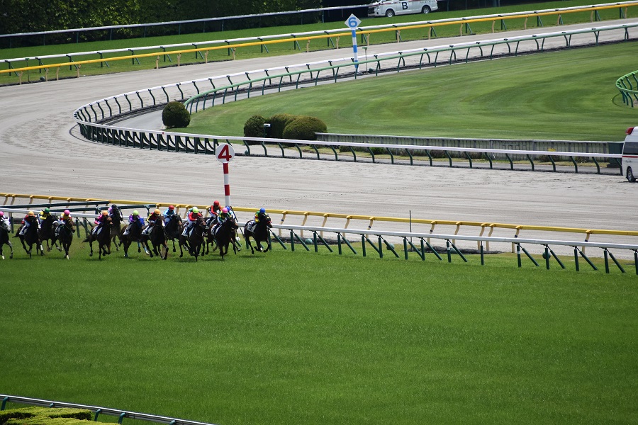 競馬で枠順の有利不利とは