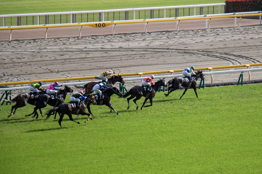 宝塚記念の予想に役立つデータを紹介！過去の傾向や要注目馬を解説！