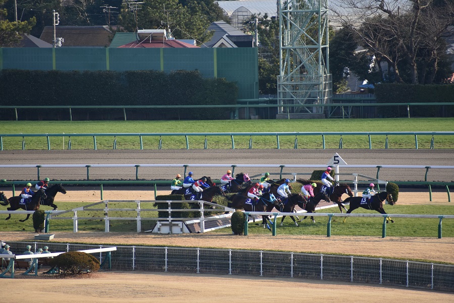 新馬戦と障害レースは特に落馬が発生しやすい