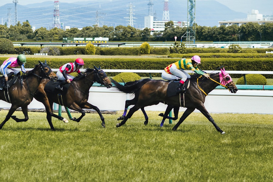 競馬で差し馬と追い込み馬の違い