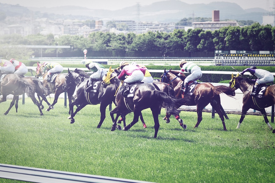 競馬で脚質が大事な理由