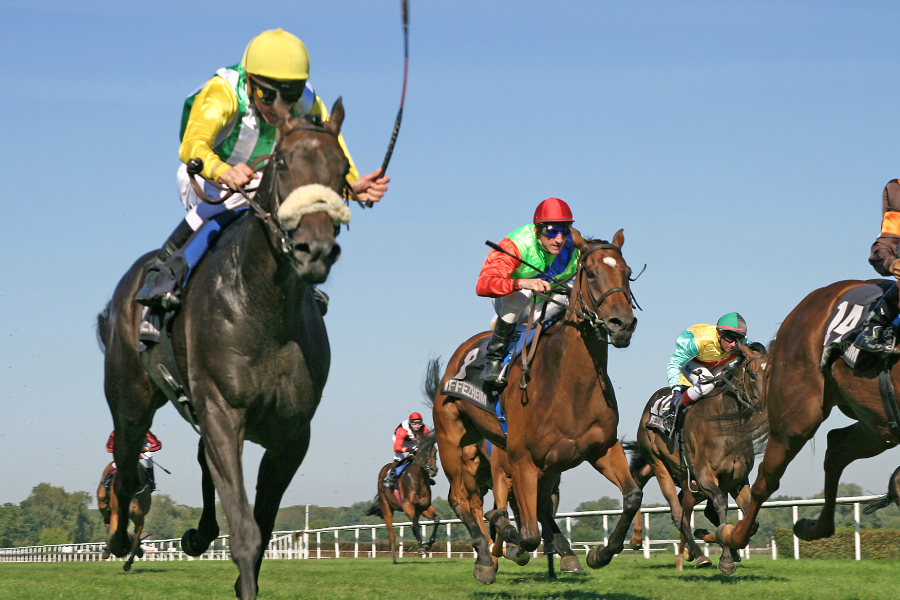 有馬記念では3歳牡馬が有利な理由