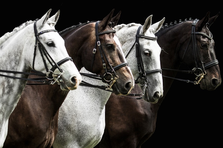 歴代の牝馬三冠を成し遂げた馬たち