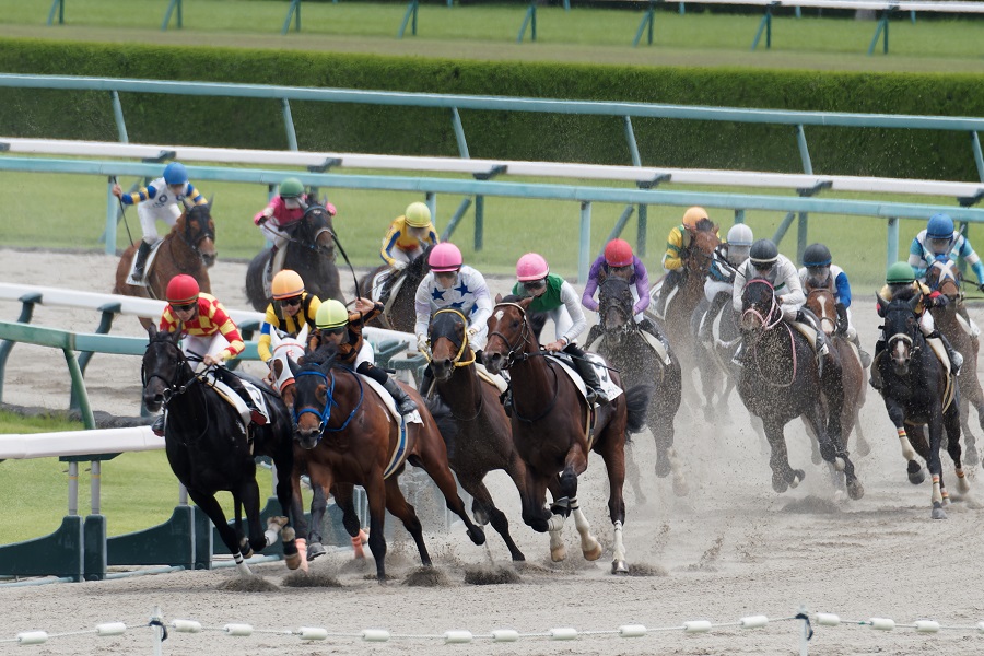 競走馬の名前は何でもあり？意外と厳しい馬名のルールや基準、審査を紹介