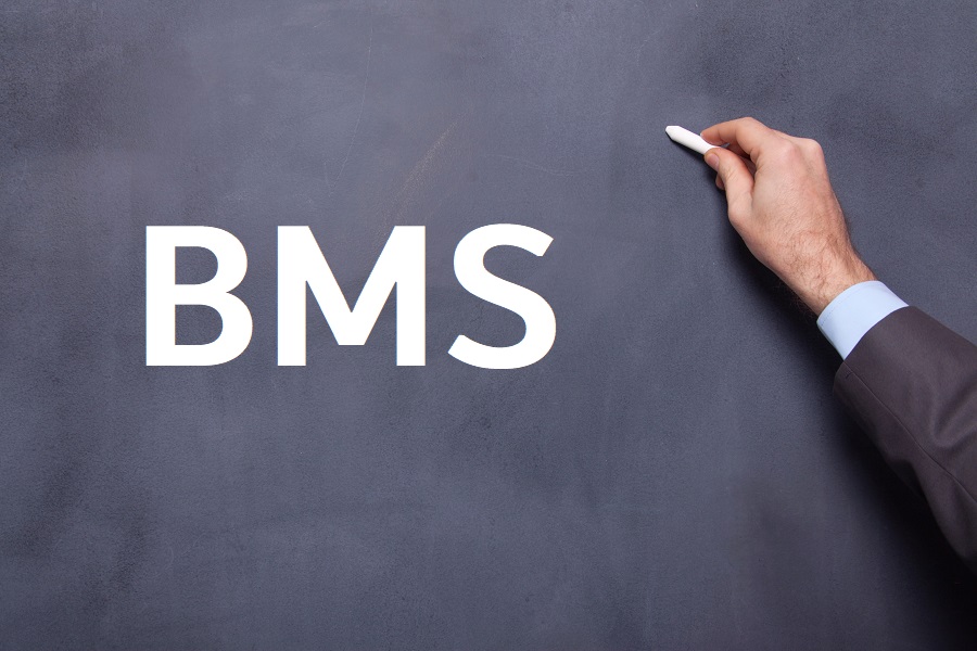 血統で重要視される「BMS」とは？