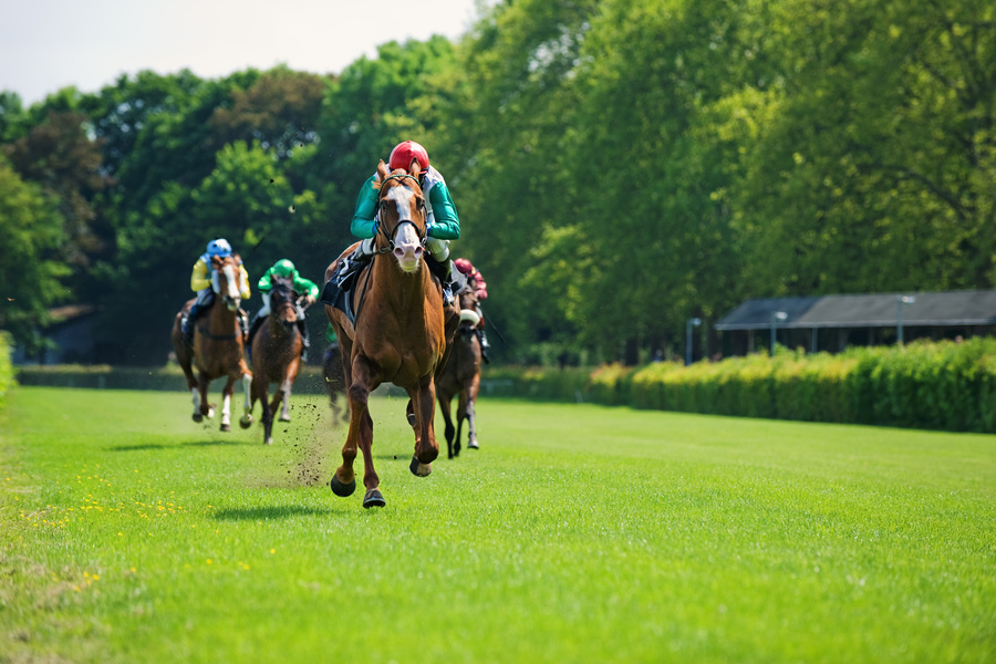 1,600ｍの特徴