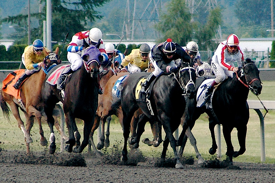 競馬で軸が決まらないあなたに捧ぐ！馬と騎手で考える軸馬の選び方