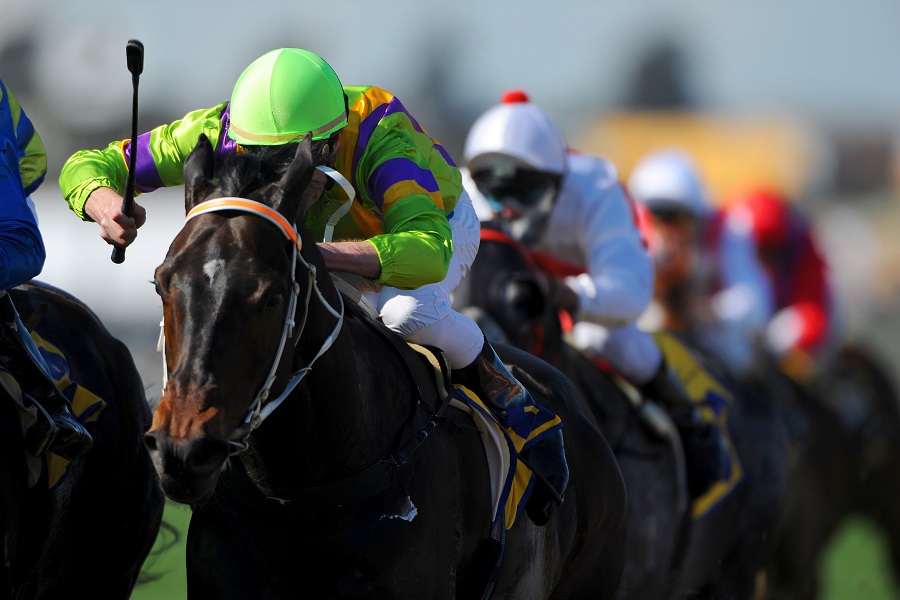 競走馬の性別は3種類 オス メス そして騙馬 センバ の違いを解説 みんなの競馬検証