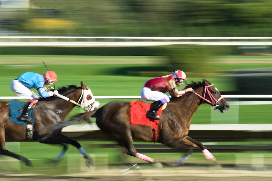 競馬予想もしている