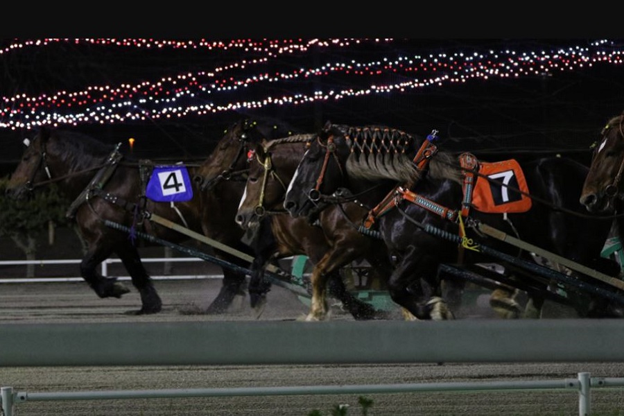 ばんえい（帯広）競馬場のコース特徴や傾向データを調査！初心者でも勝てる攻略法！