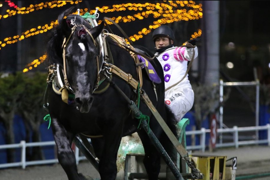 ばんえい競馬とはどんなレース？