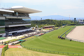 中京競馬場