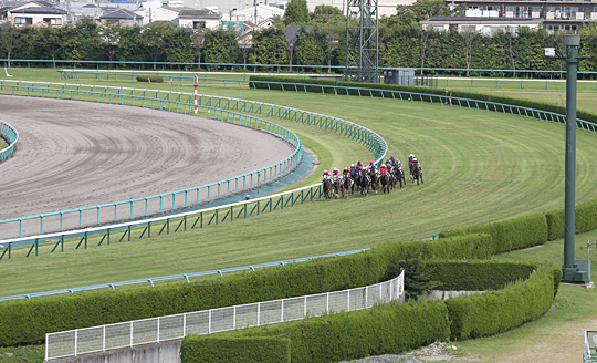 阪神競馬場