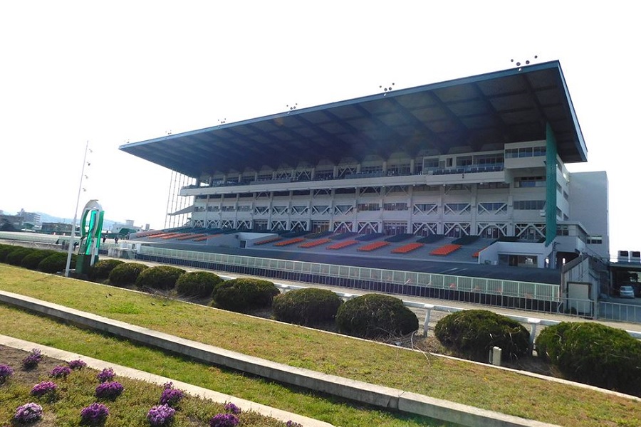 姫路競馬場のコース特徴や傾向データを調査!初心者でも勝てる攻略法!