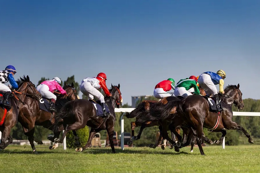 競馬の脚質の1つである差し馬の特徴