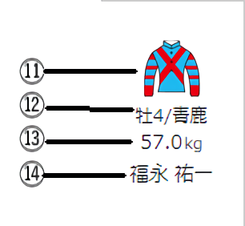 性齢/毛色/負担重量/騎手名