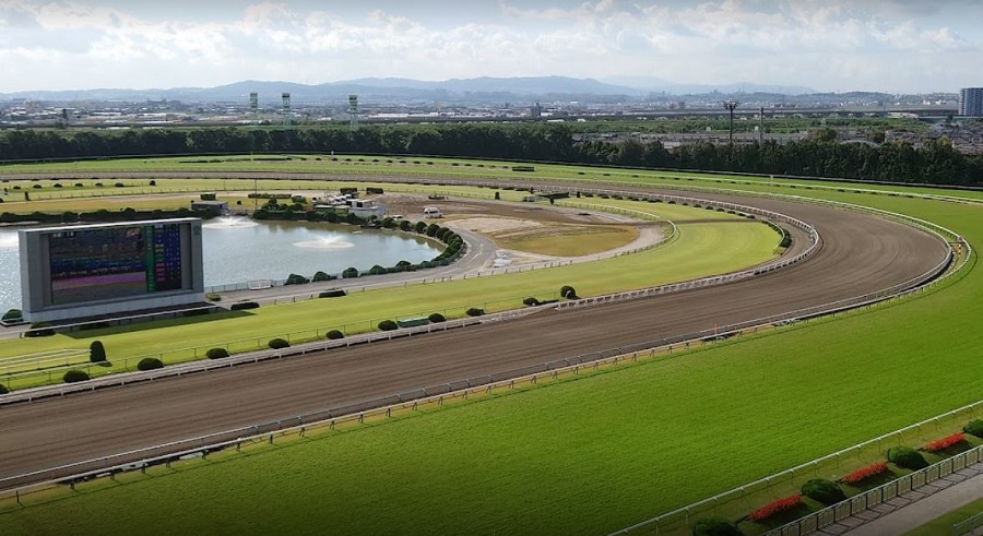 京都競馬場