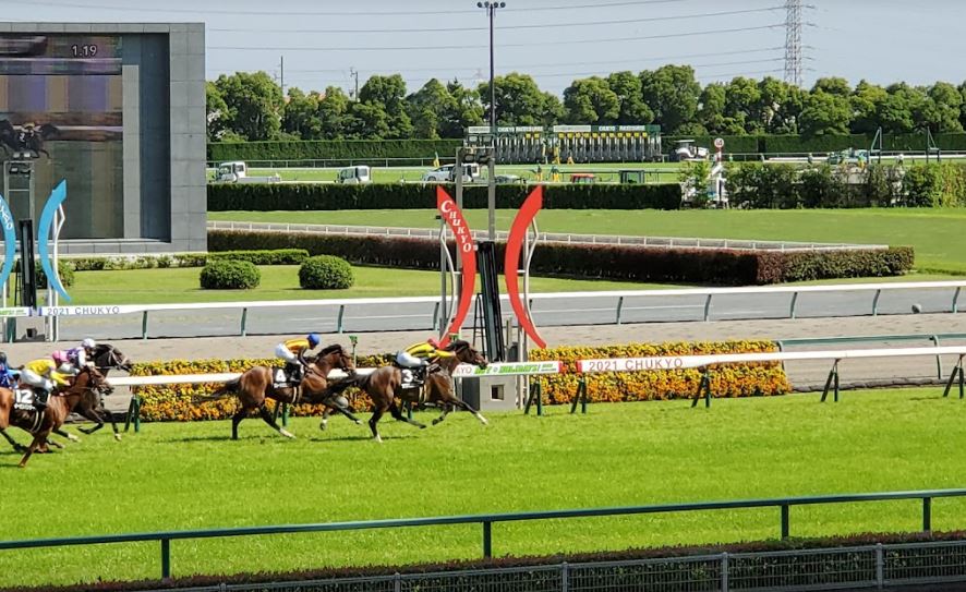 中京競馬場