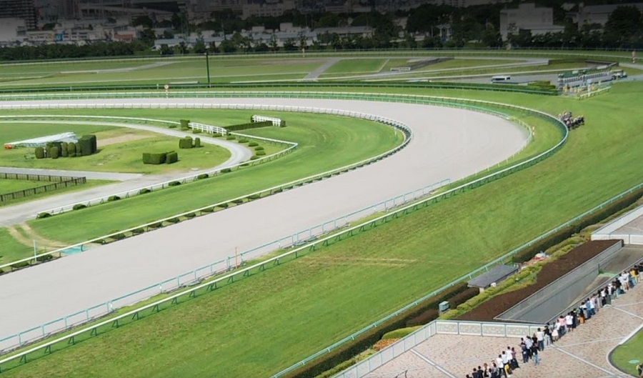 阪神競馬場