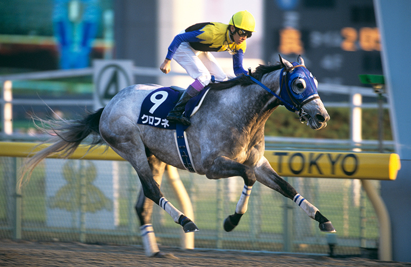 不良 馬場 に 強い 血統 ダート