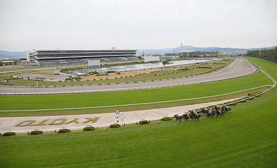 京都競馬場