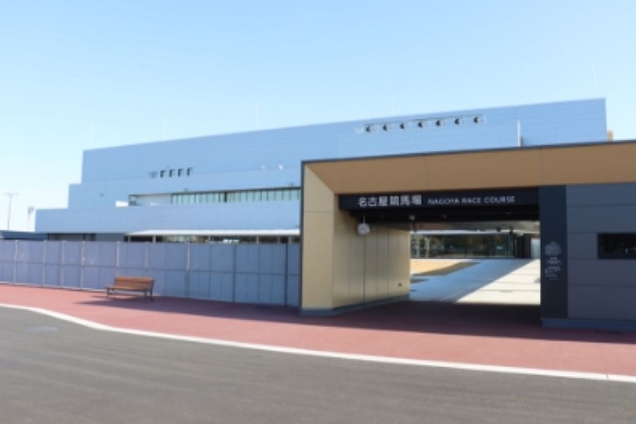 名古屋競馬場のコース特徴や傾向データを調査!初心者でも勝てる攻略法!