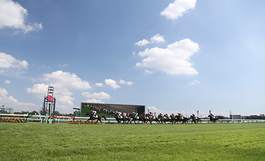 中山競馬場