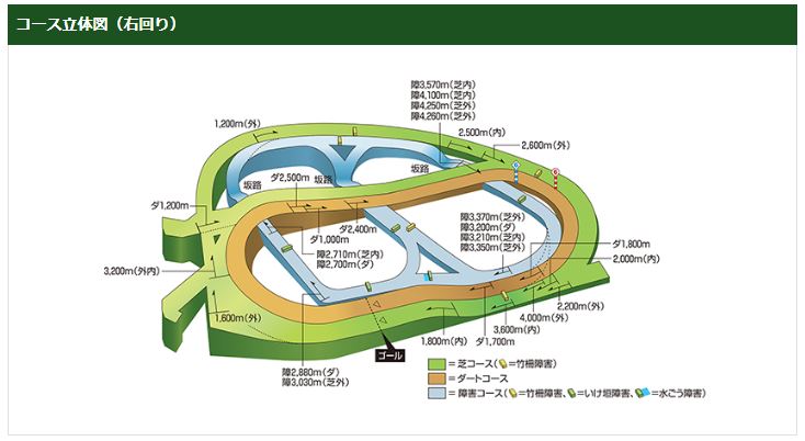 中山競馬場のコース概要