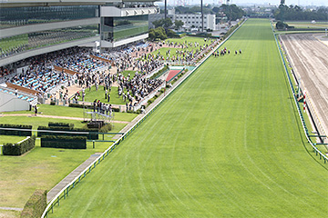 新潟競馬場