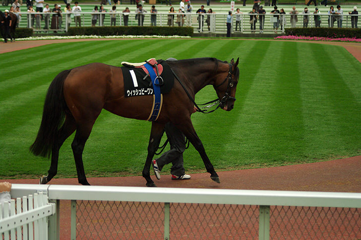 俺の競馬予想のメリット・デメリット