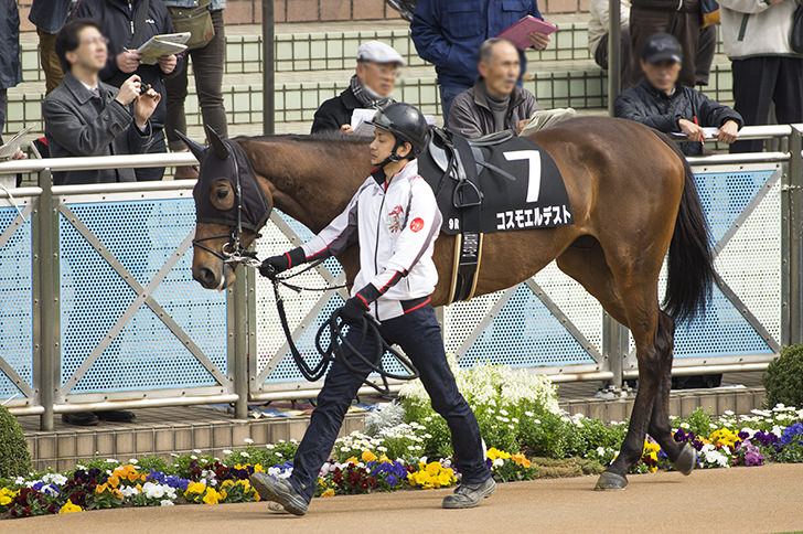 競馬には大きく分けて2種類ある