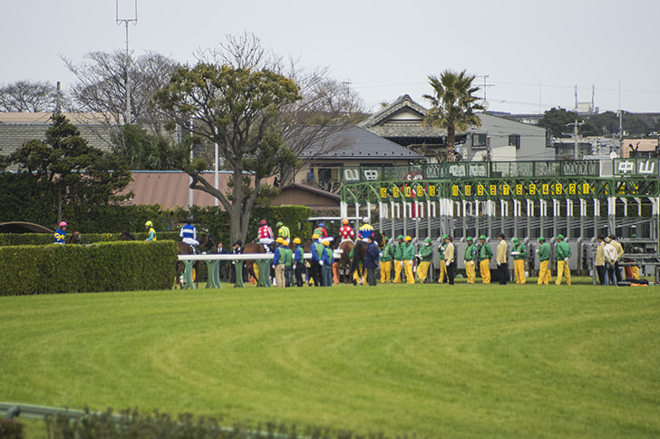 重賞レースは初心者には難しい