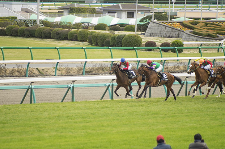 競馬初心者は中央競馬からチャレンジ