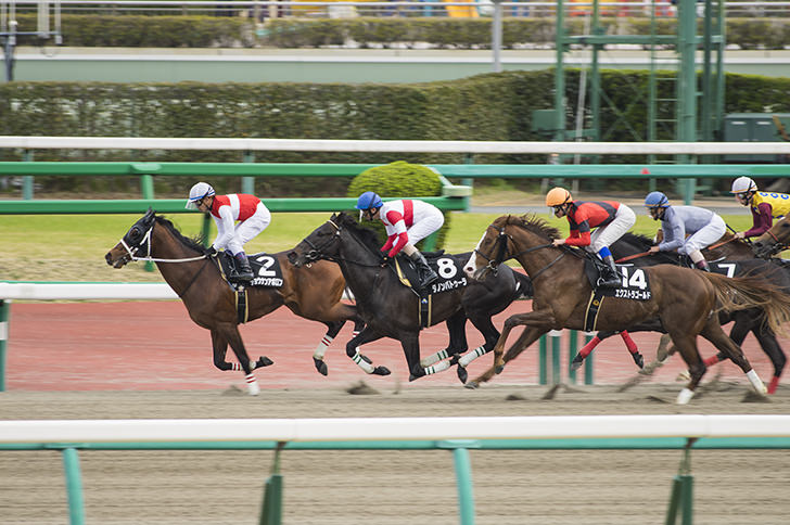 脚質別の勝率について