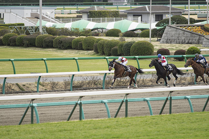 脚質は大きく分けて4種類！脚質別の名馬も紹介