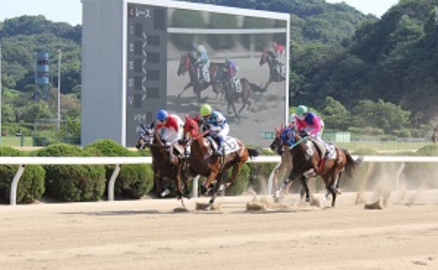 佐賀競馬場の概要