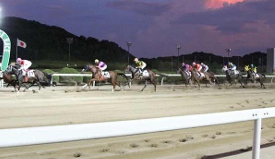 佐賀競馬場　距離別の特徴