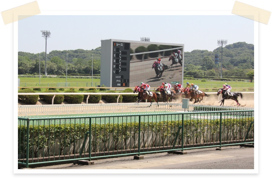 佐賀競馬場