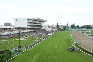 札幌競馬場