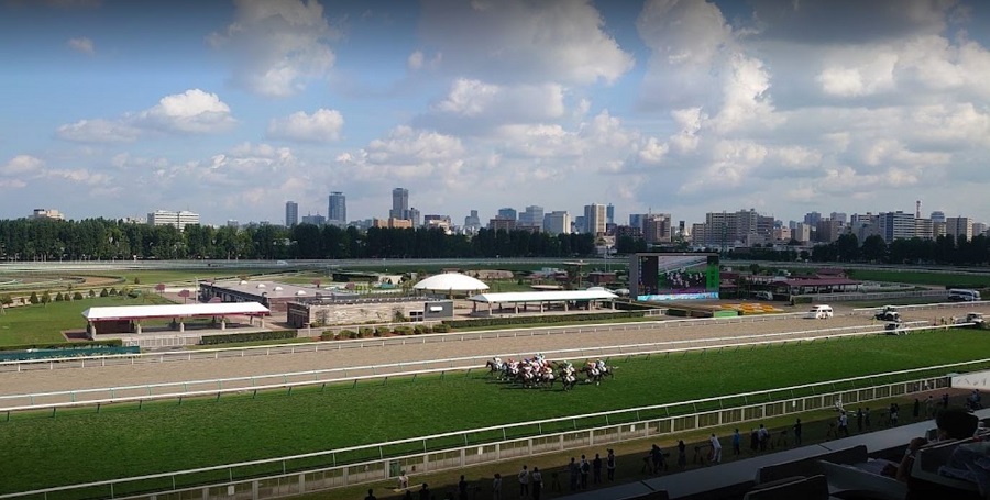 札幌競馬場