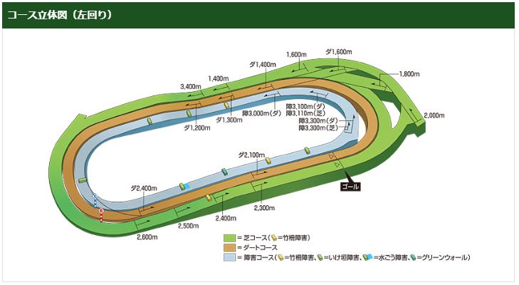 東京競馬場コース立体図